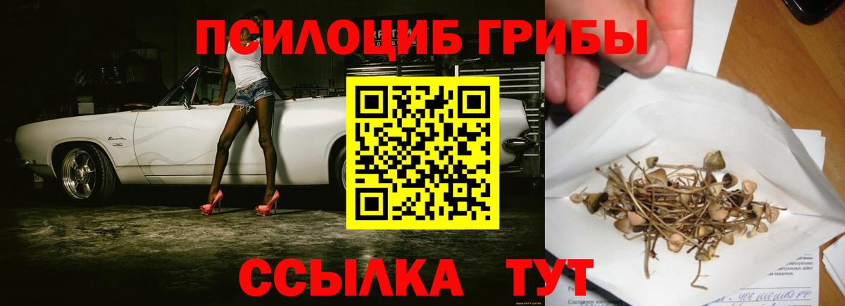 Галлюциногенные грибы Psilocybine cubensis Самара